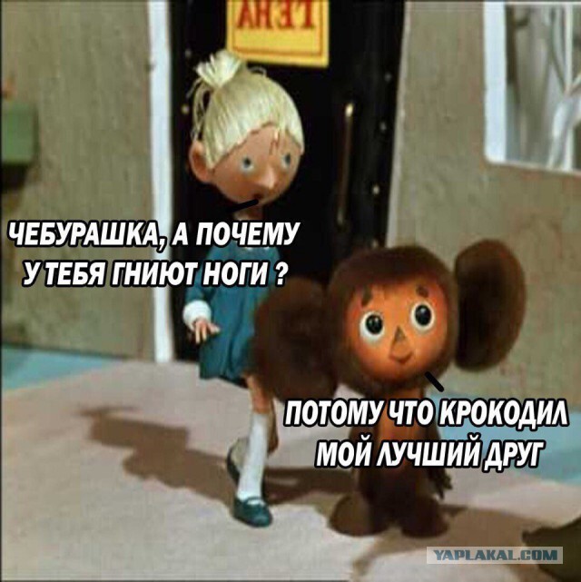 4kvsj7ds.jpg