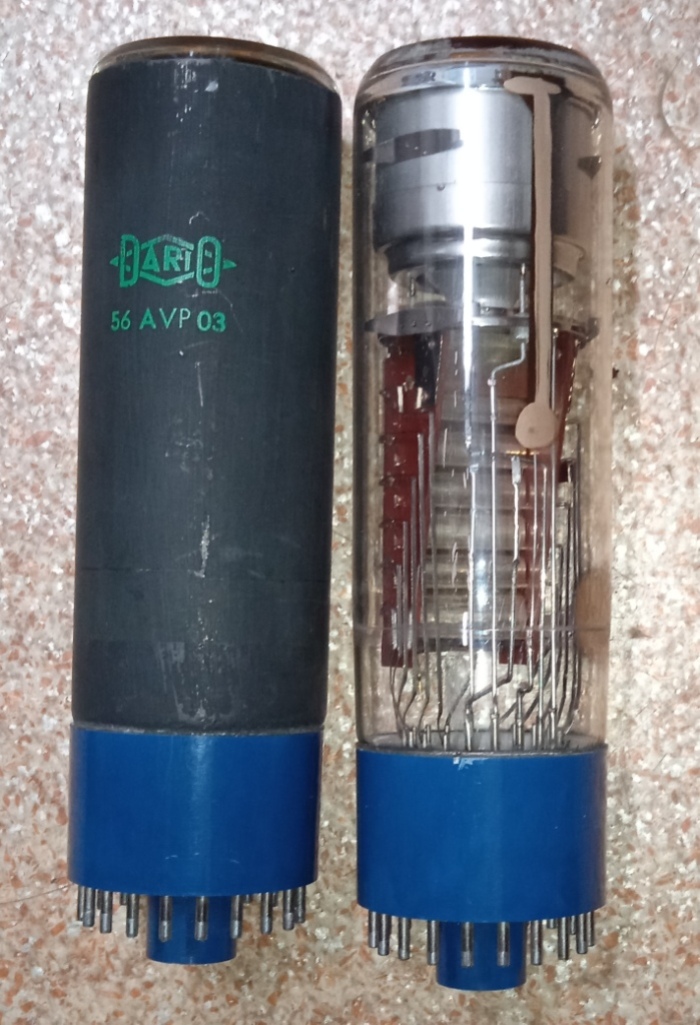 56AVP 03 DARIO.jpg