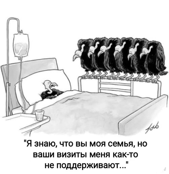 9365753_original.jpg