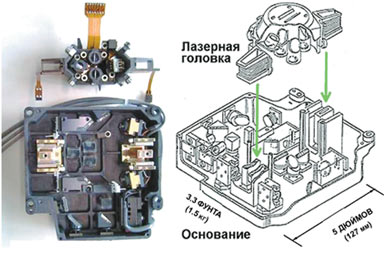 Golovka.jpg