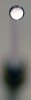 DSC_2425a.JPG