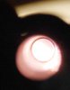 DSC_2439a.JPG