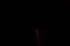 DSC08468.JPG