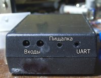 Жопа.jpg