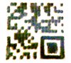 diode_code.jpg
