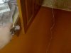 DSC00145.JPG