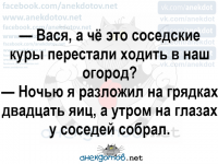 ОТУЧИЛ СОСЕДСКИХ КУРЕЙ.png