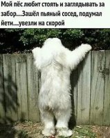 йети.jpg