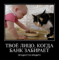 лицо.jpg